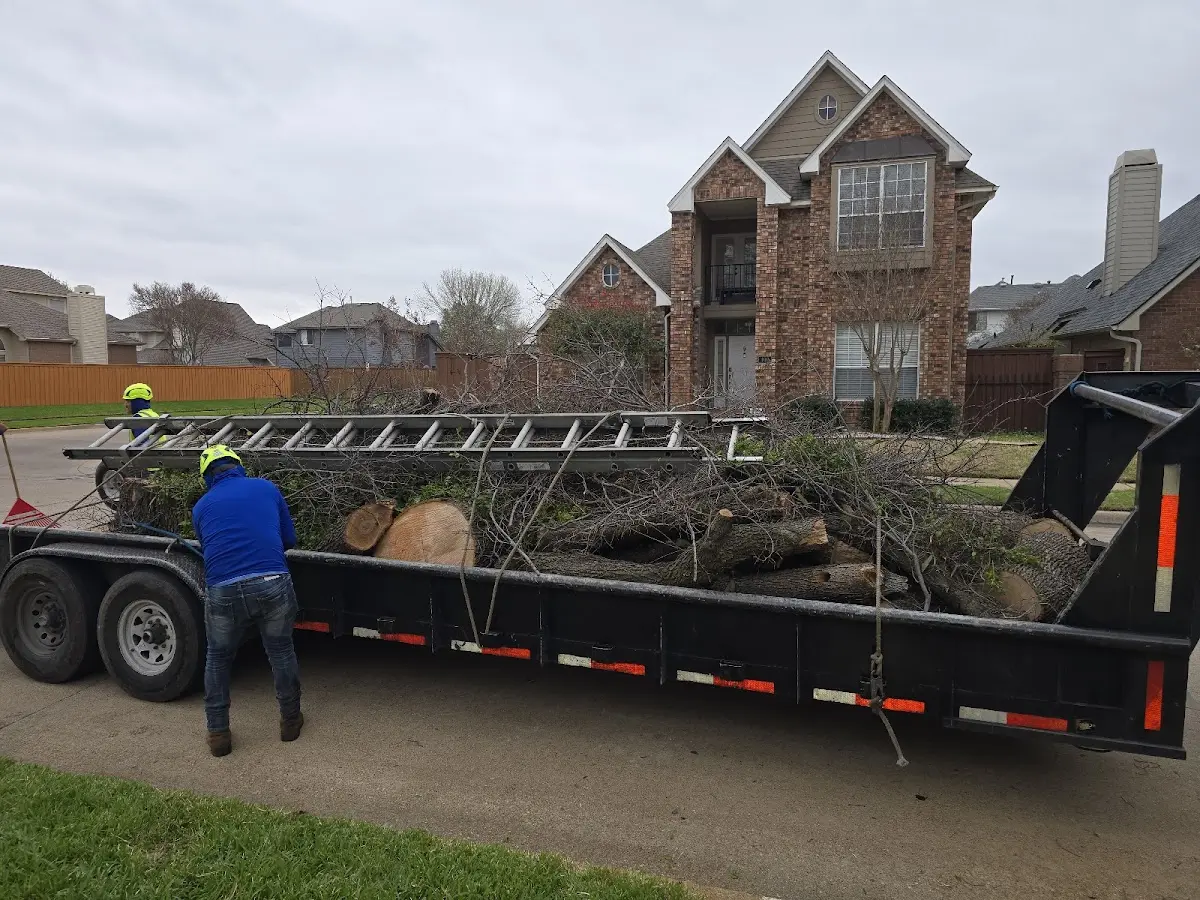 Expert Tree Removal with proper safety equipment in Leachville